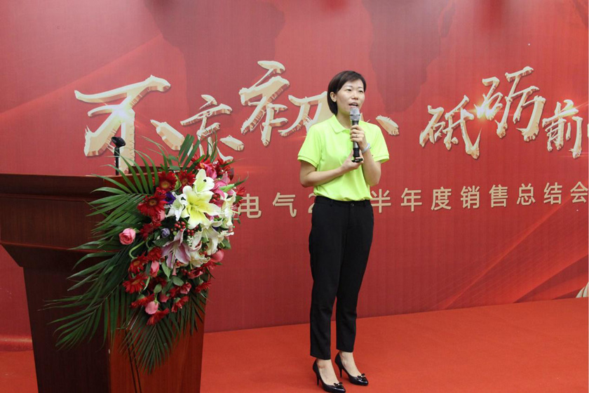 华科电气销售会议-程总